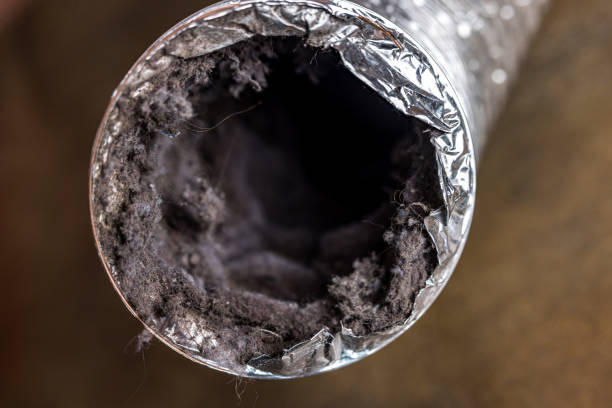 Best Emergency Air Duct Cleaning  in Sherman, IL